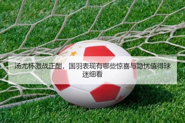 汤尤杯激战正酣，国羽表现有哪些惊喜与隐忧值得球迷细看 - aiyouxi